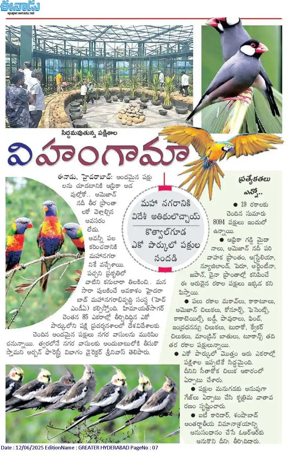 Image from SiriNava Estates Hyderabad: 🦜 *Exotic Birds Now in Hyderabad!* 🌿 Rare birds from 12 countries a...