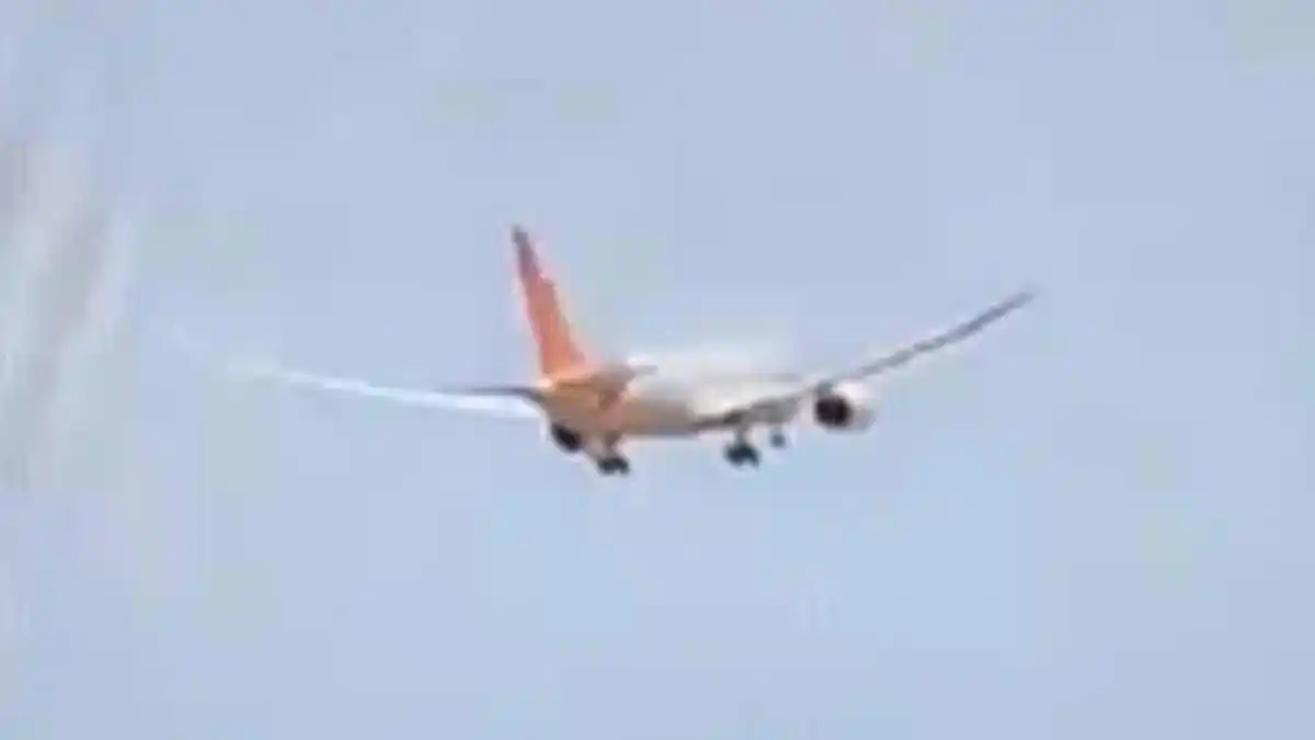 Image from Daily Mail: Expert's theory on terrifyingly simple mistake he thinks Air India co-...