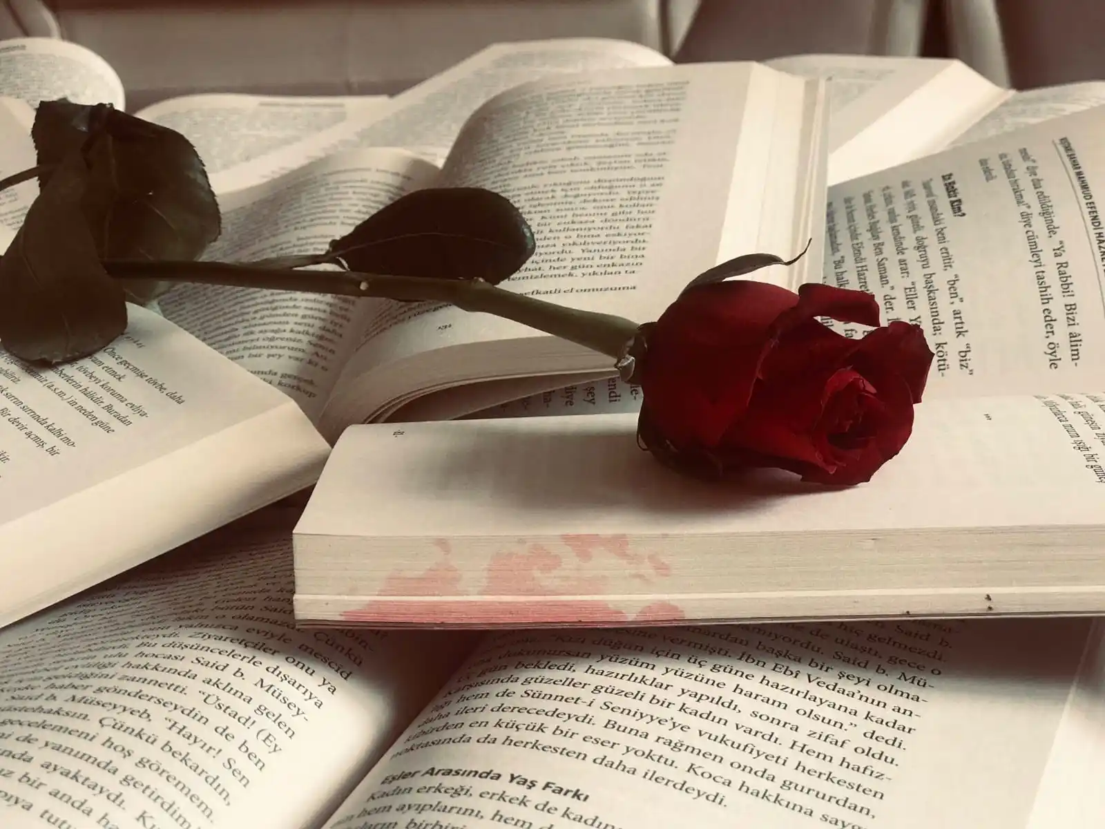 .℘ ᴀşᴋɪ ɪ̇ꜱʟᴀᴍ post