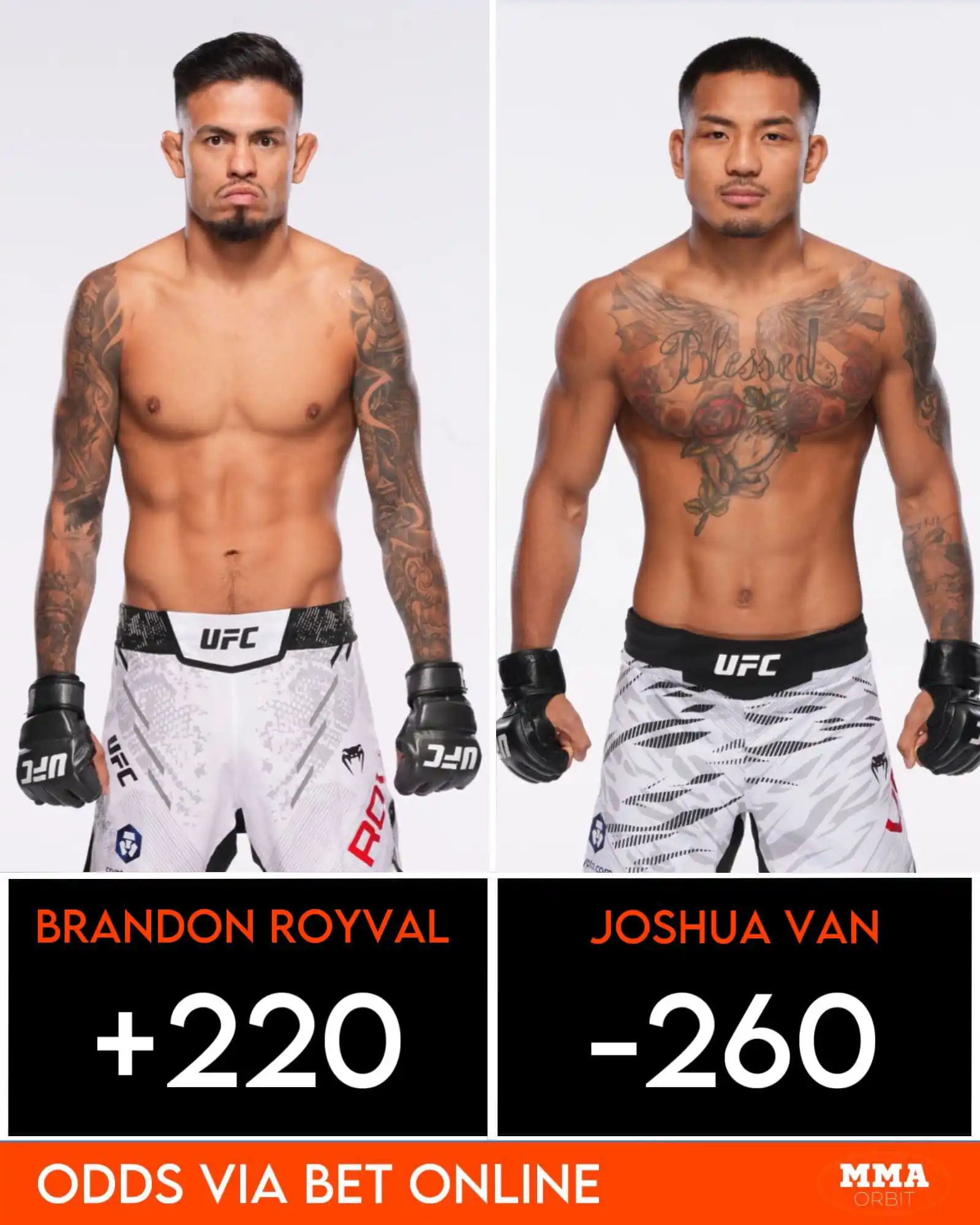 Image from MMA Orbit: Joshua Van has opened as a -260 favourite against No.1 ranked flyweigh...