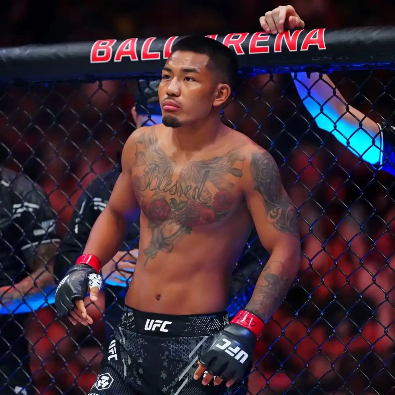 Image from MMA Orbit: 🚨| Joshua Van tells Ariel Helwani that he believes he should be next ...