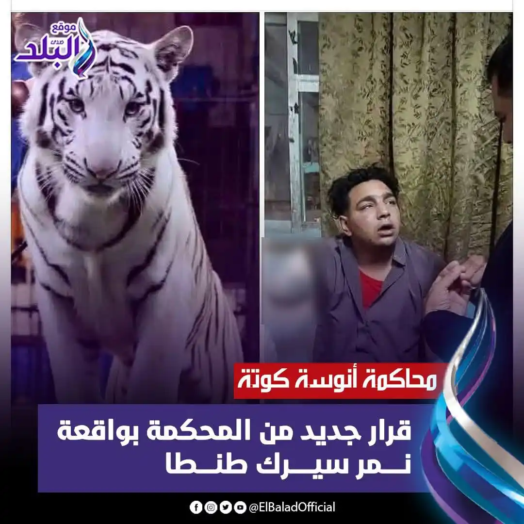 Image from صدى البلد: قرار جديد من المحكمة في محاكمة أنوسة كوتة بواقعة نمر سيرك طنطا التفا...