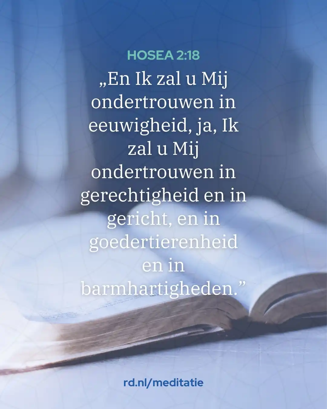 Image from Reformatorisch Dagblad: Meditatie // „Daarom, wie zal deze Koninklijke bruiloft op de rechte w...