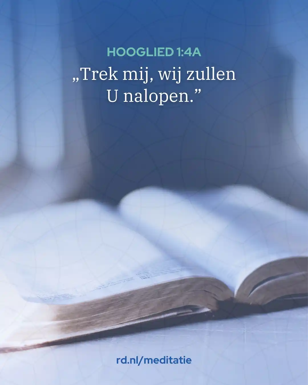 Image from Reformatorisch Dagblad: Meditatie || „De Geest begint op krachtige wijze en met een zeer liefl...