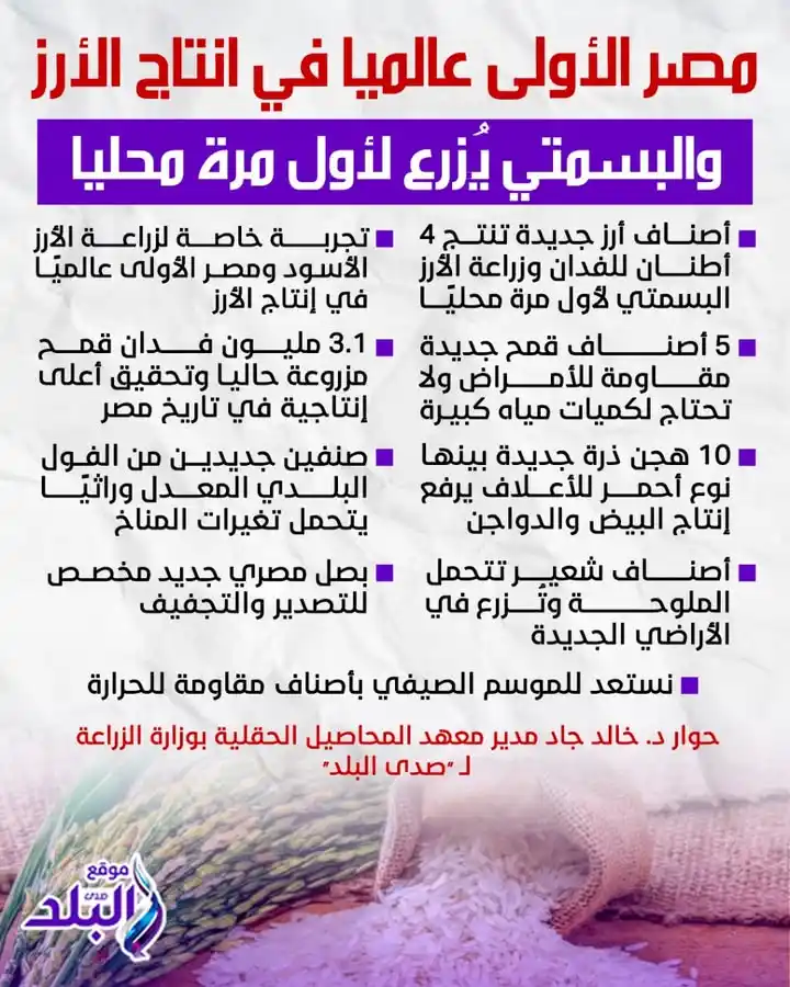 Image from صدى البلد: مصر الأولى عالميا في انتاج الأرز والبسمتي يُزرع لأول مرة محليا...