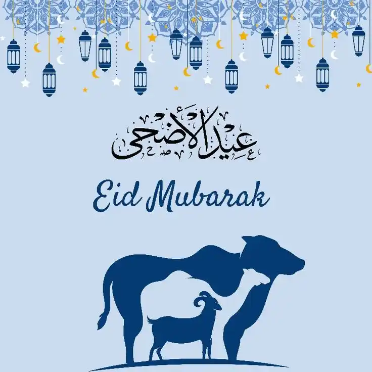 Image from Girls Talk With Warda| Grow, Glow & Gupshup |Deen & Duniya | Mom & Baby| Relationships | Poetry|Joks: On this blessed Eid, may Allah accept your Qurbani and shower His merc...