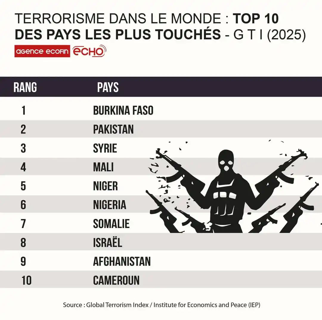 Image from Agence Ecofin - Afrique (Finance, Economie) : 🔴 Terrorisme dans le monde : Top 10 des pays les plus touchés. 6 pay...