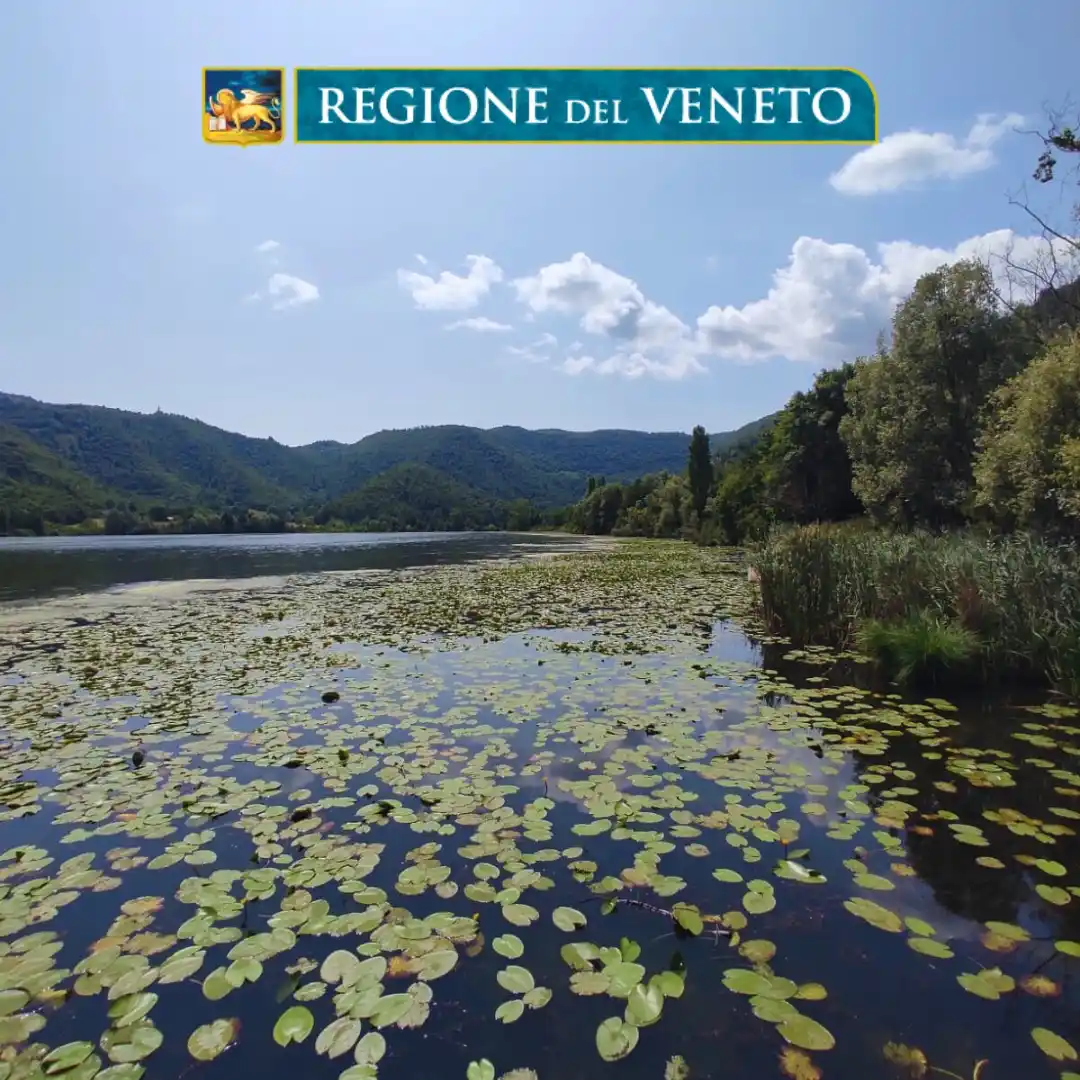 Image from Regione del Veneto 🦁: 🌿 *Veneto: due nuovi cammini per il turismo lento e sostenibile* 📌 ...