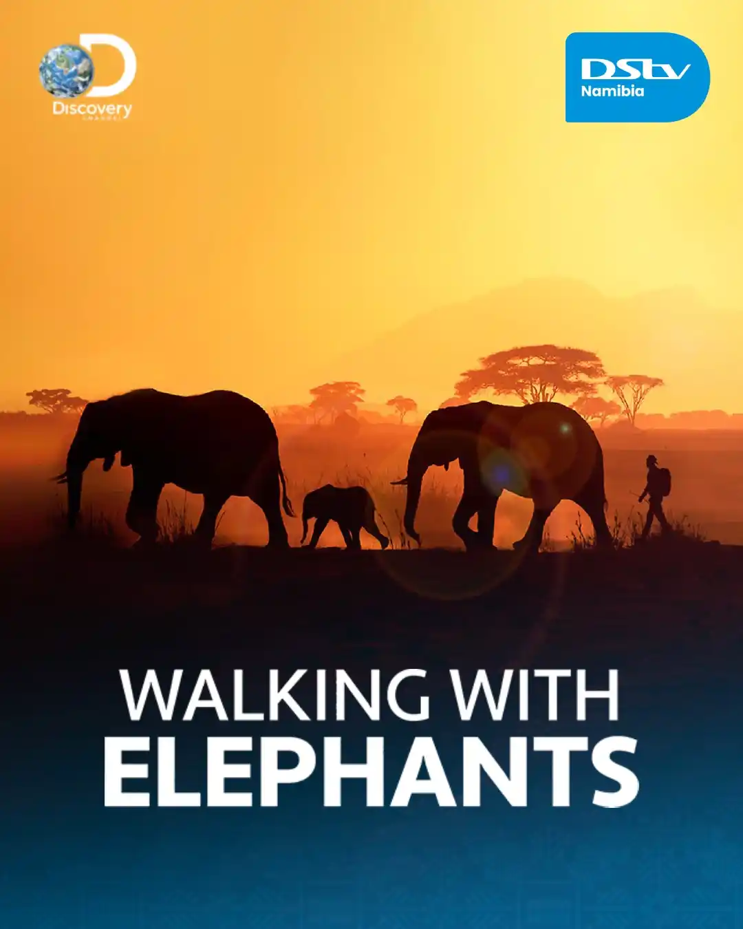 Image from DStv Namibia: 🐘☀️ Walk over 1,000km across to Botswana to the Okavango Delta with a...