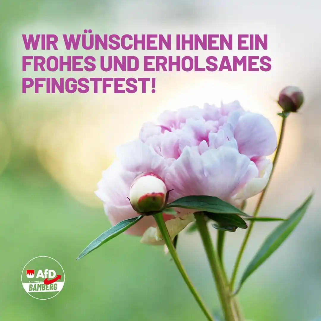 Image from AfD Bamberg: Wir wünschen Ihnen ein frohes und erholsames Pfingstfest! 🌹🕊...