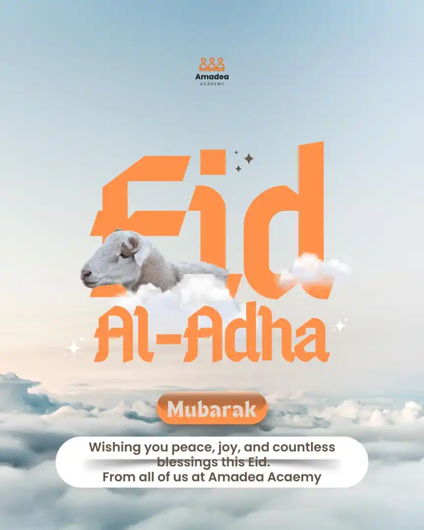 Amadea Academy Limited post