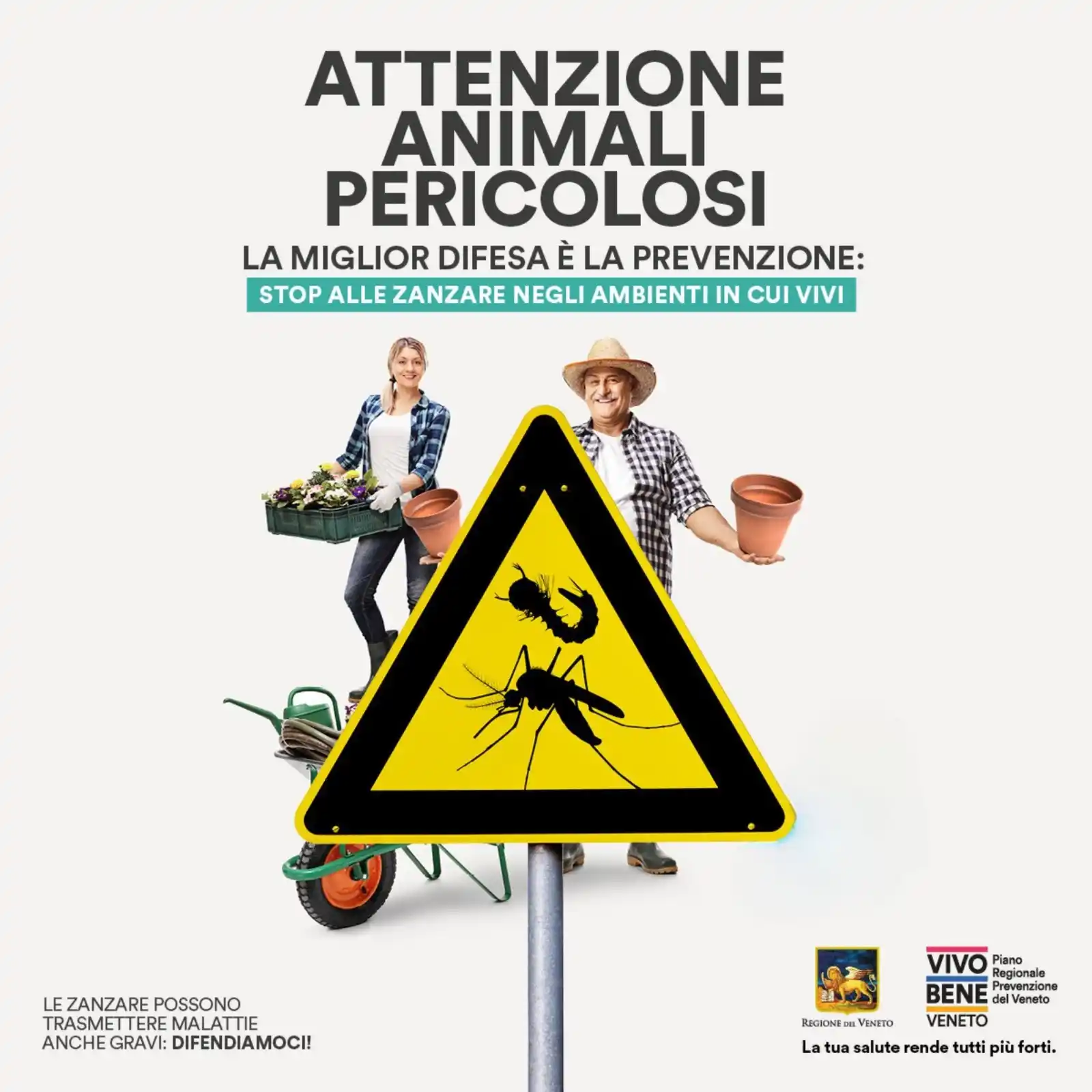 Image from Regione del Veneto 🦁: 🦟 *Zanzare: la migliore difesa è la prevenzione!*  Per combatterle, s...