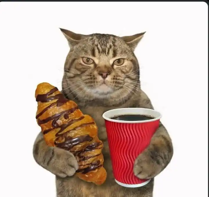 مـيـمـز | ᴹᵉᵐᵉᶻ 👻🎭 post