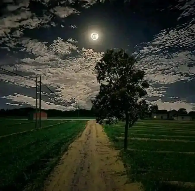 ستًٍَِاًٍَِ یًٍَِاًٍَِڊًٍَِۆًٍَِنًٍَِۆًٍَِ لًٍَِیًٍَِۆًٍَِنًٍَِیًٍَِ ڪًٍَِڔًٍَِمًٍَِ post