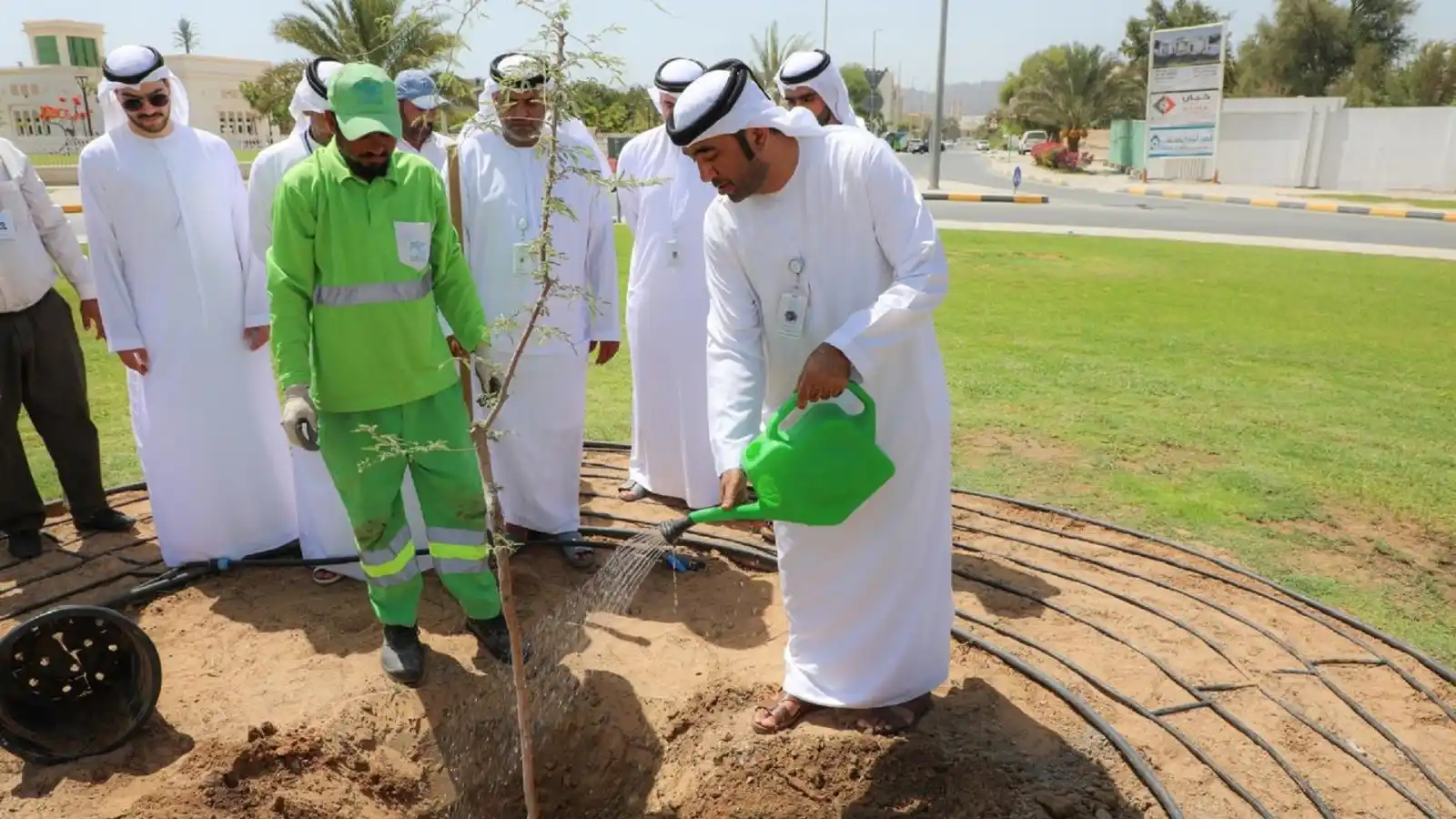 Image from Sharjah24: أطلقت بلدية دبا الحصن، مبادرة بيئية توعوية تمثلت في زراعة شجر الغاف بد...