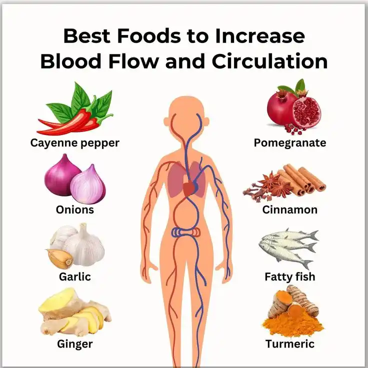Image from NutritionistKD: During <a class="text-blue-500 hover:underline cursor-pointer" href="/...