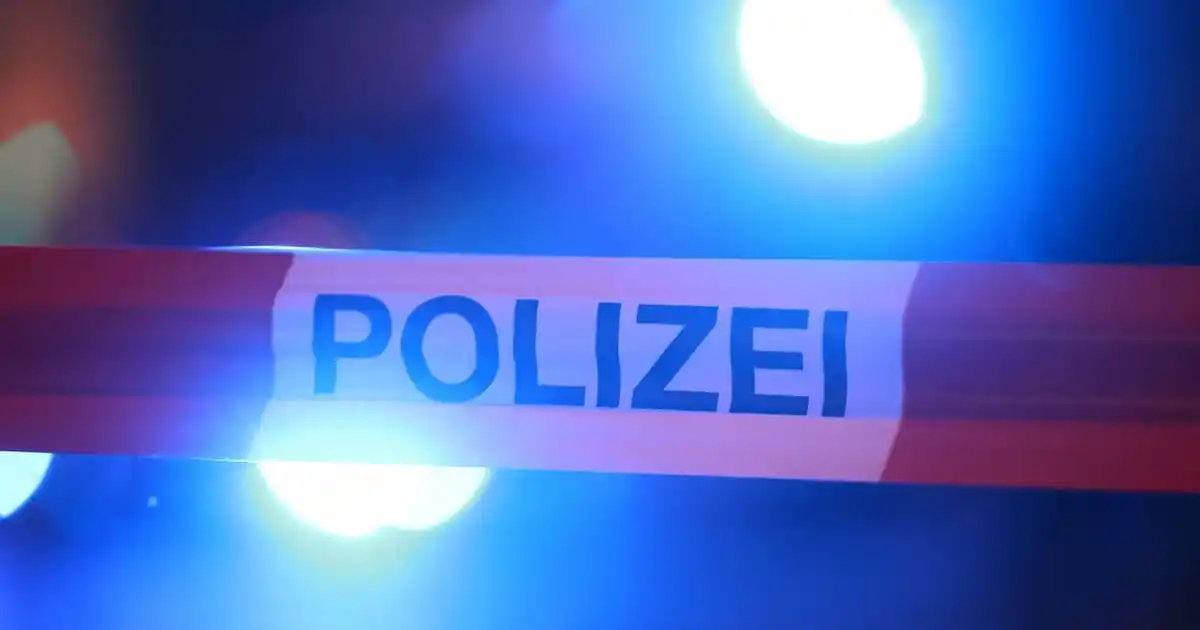 Image from FOCUS online Crime | Verbrechen und Polizeimeldungen: 🚨 *Grausame Bluttat: 19-Jähriger soll Mutter der Ex-Freundin getötet ...