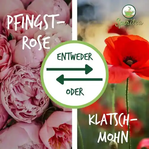 Image from katholisch.de: 🙏 Hier ist die spirituelle Mittagspause! Heute haben Bertrand, Clau...