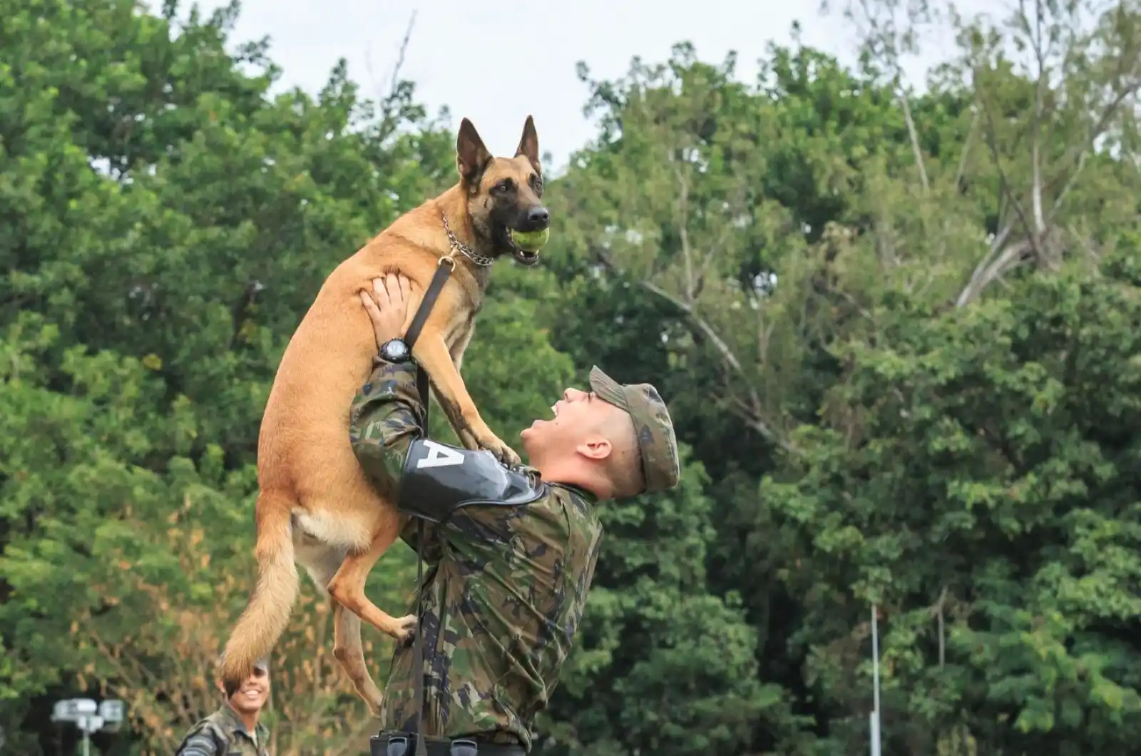 Força Aérea Brasileira post
