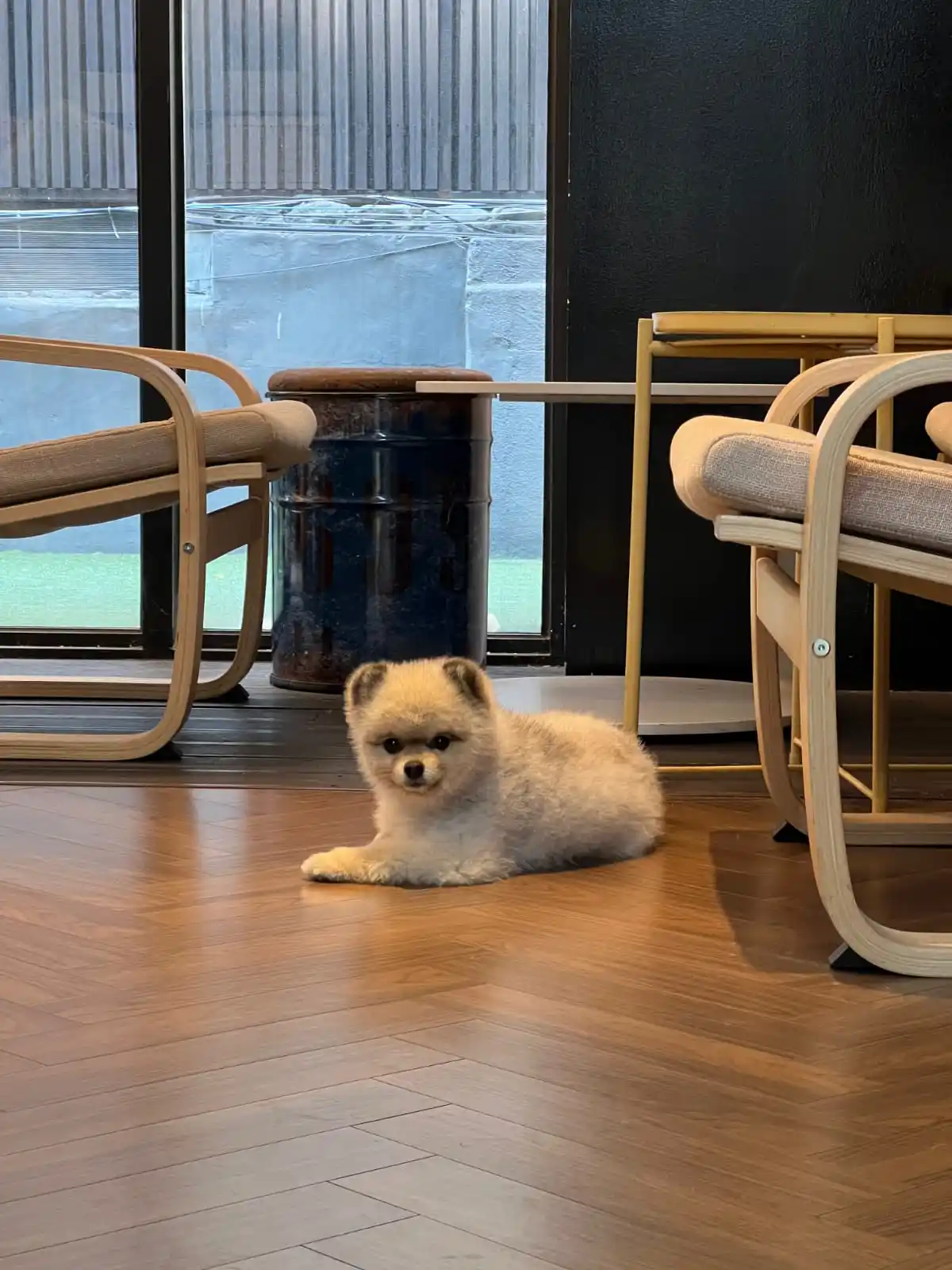 Image from Teume Zone: JIHOON WEVERSE UPDATE Bagaimana dengan foto pacar?...