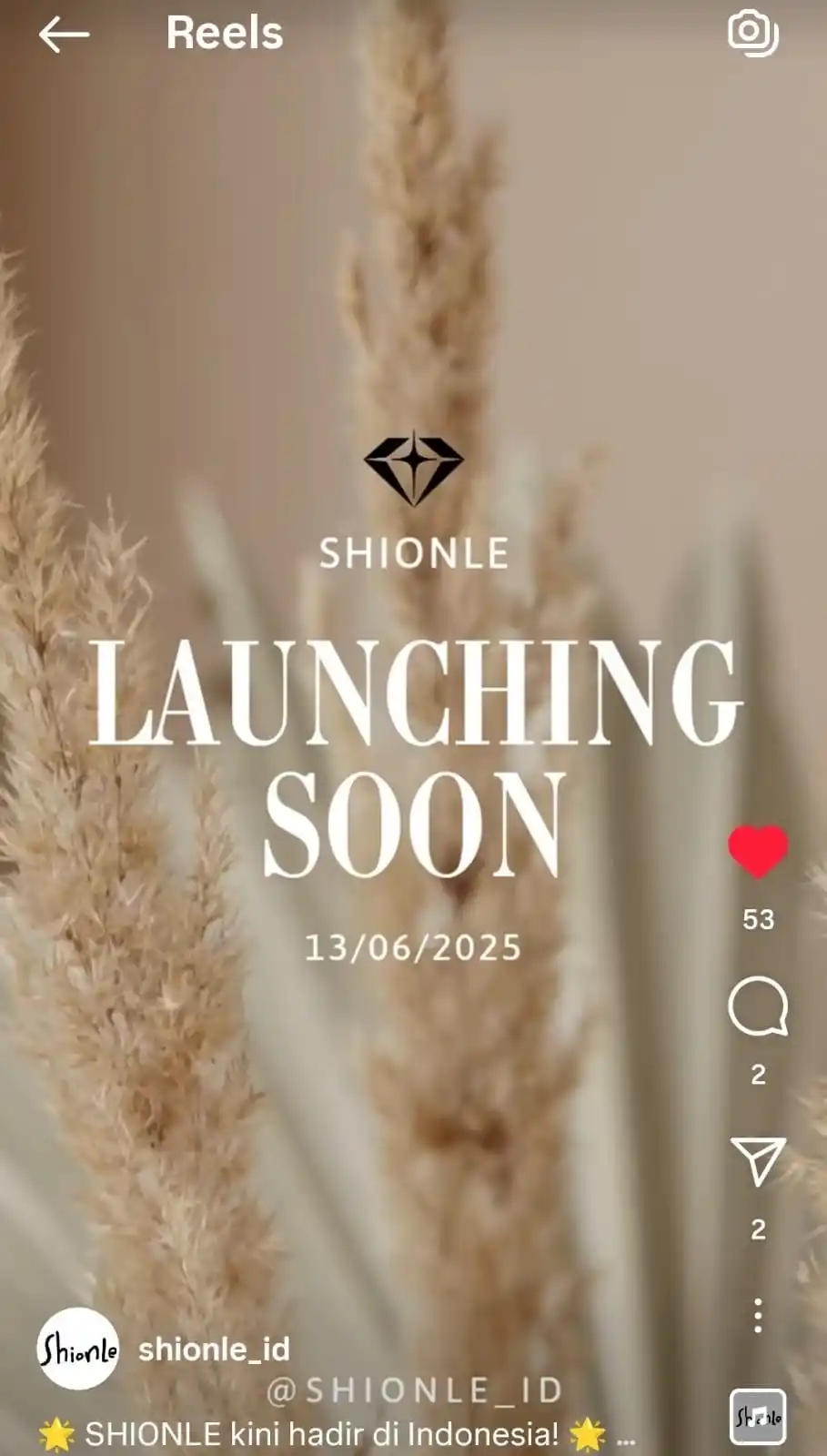 Image from Teume Zone: Kabar baik! Pada tanggal 13 Juni 2025, SHIONLE akan resmi hadir di Ind...