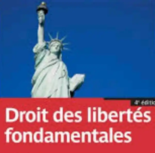 Culture Juridique post