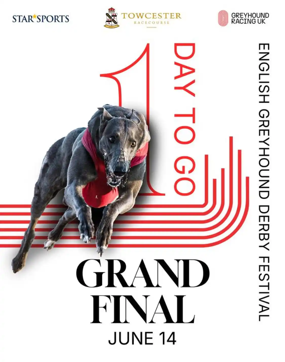 Image from Gone To The Dogs Live: 🔥 The Final Countdown: 1 Day to Go! 🔥 6 Dogs, 1 Winner – Who Will T...