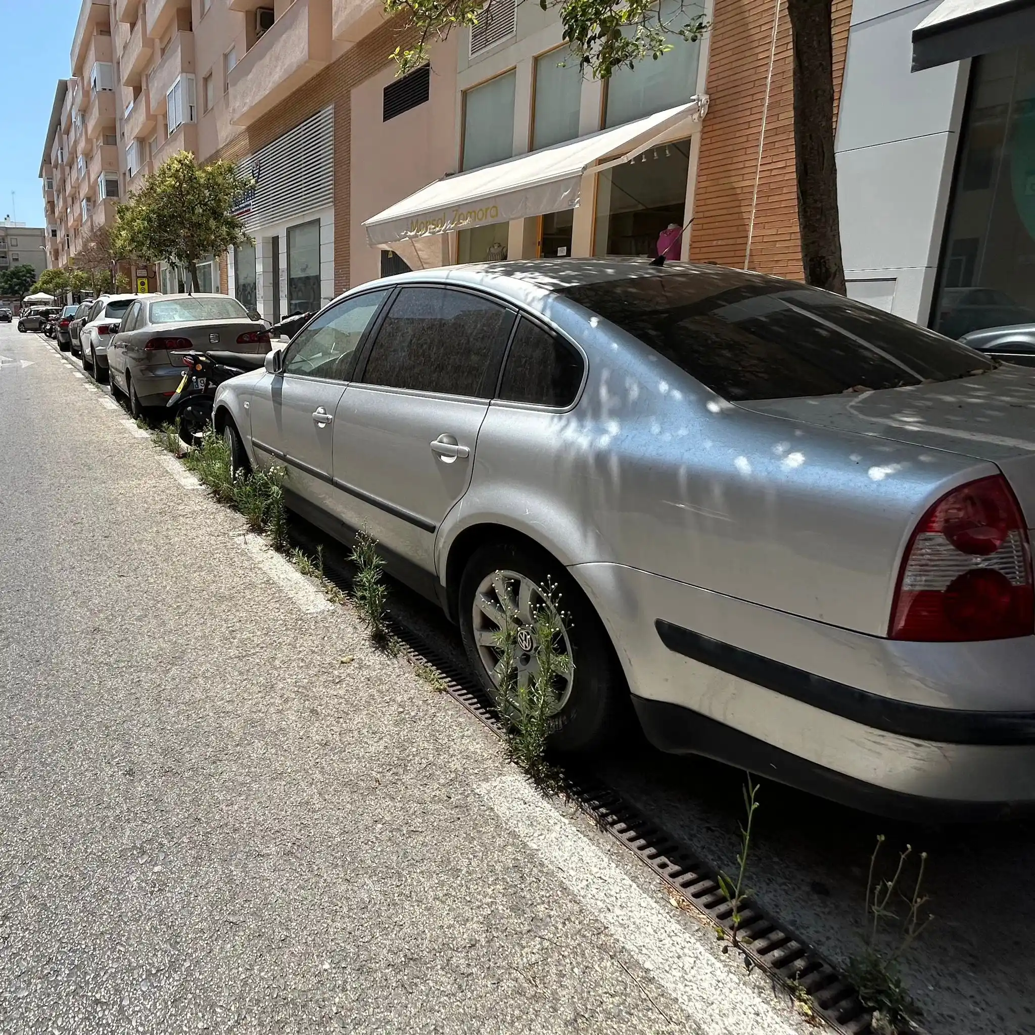 Image from Cádiz Abandonada: ✂️🌱 Un colaborador denuncia la ausencia de desbroce de hierbas en arq...