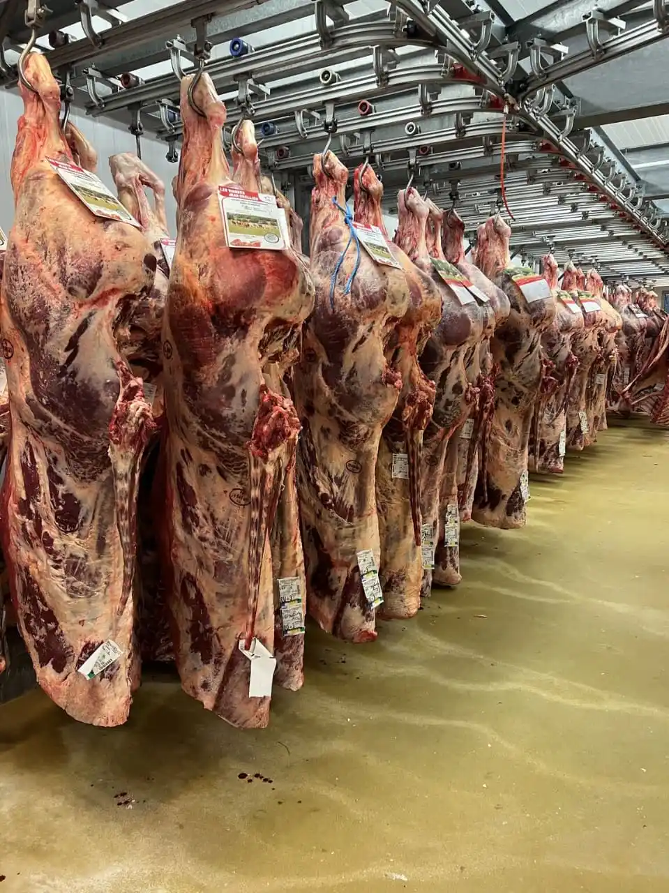 Image from The Art Of Butchering: What makes a good Steak? Is it the highly marbled and tough or extra l...
