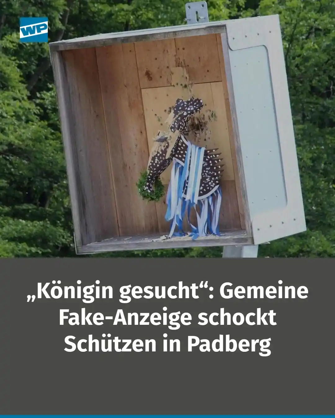 Image from WP Brilon/Winterberg - Westfalenpost: Aufregung um das Padberger Schützenfest: Eine fiese Kleinanzeige im Ne...