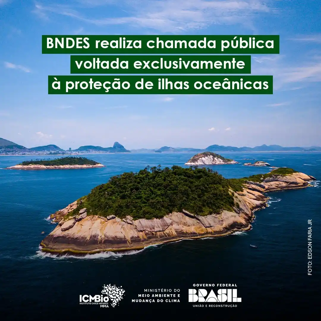 Image from Instituto Chico Mendes - ICMBio: *BNDES realiza chamada pública voltada exclusivamente à proteção de il...