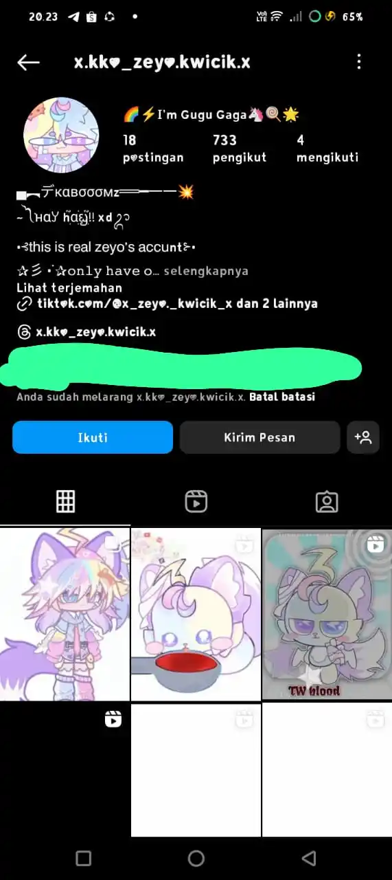Image from ପ˙,⚡•˙ʐɛɣo̷𝘸૯яzׁׅ֬ ⊰🌈˙⌥⚠︎𝐇𝐢𝐚𝐭𝐮𝐬 👈🏻: ⚠️COPYCAT‼️ Guys pls help me report this copycat, https://www.instagr...