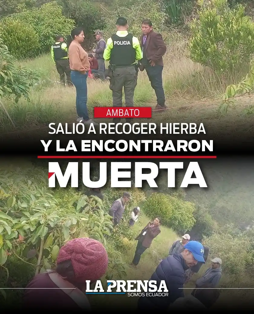Image from La Prensa Ecuador: 🚨<a class="text-blue-500 hover:underline cursor-pointer" href="/hasht...