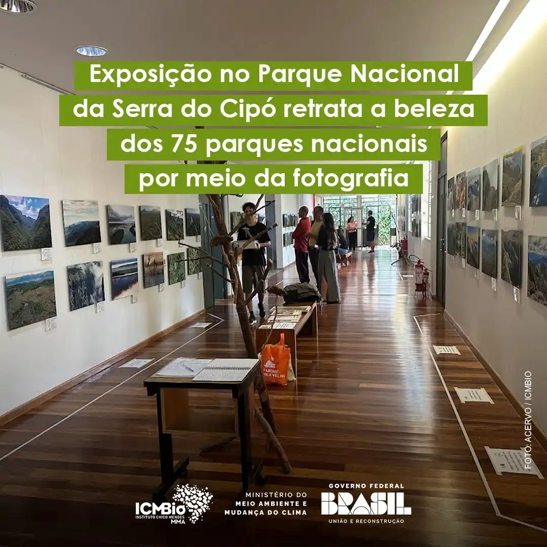 Instituto Chico Mendes - ICMBio post