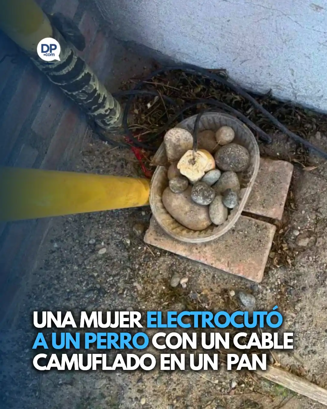 Image from Diario Panorama: ❌ INDIGNANTE Una residente de la localidad de Playa Unión, Chubut, es...