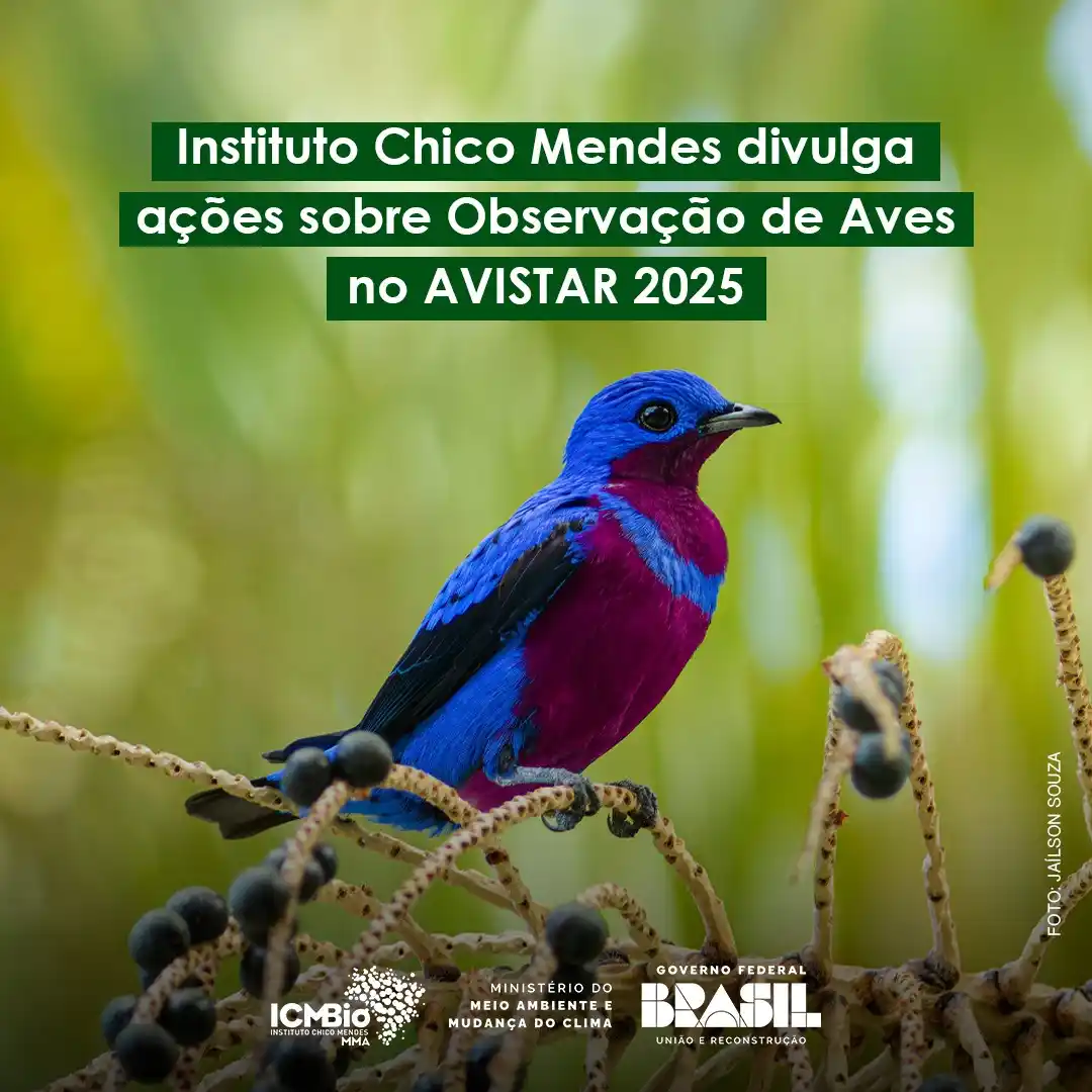Image from Instituto Chico Mendes - ICMBio: *Instituto Chico Mendes divulga ações sobre Observação de Aves no AVIS...