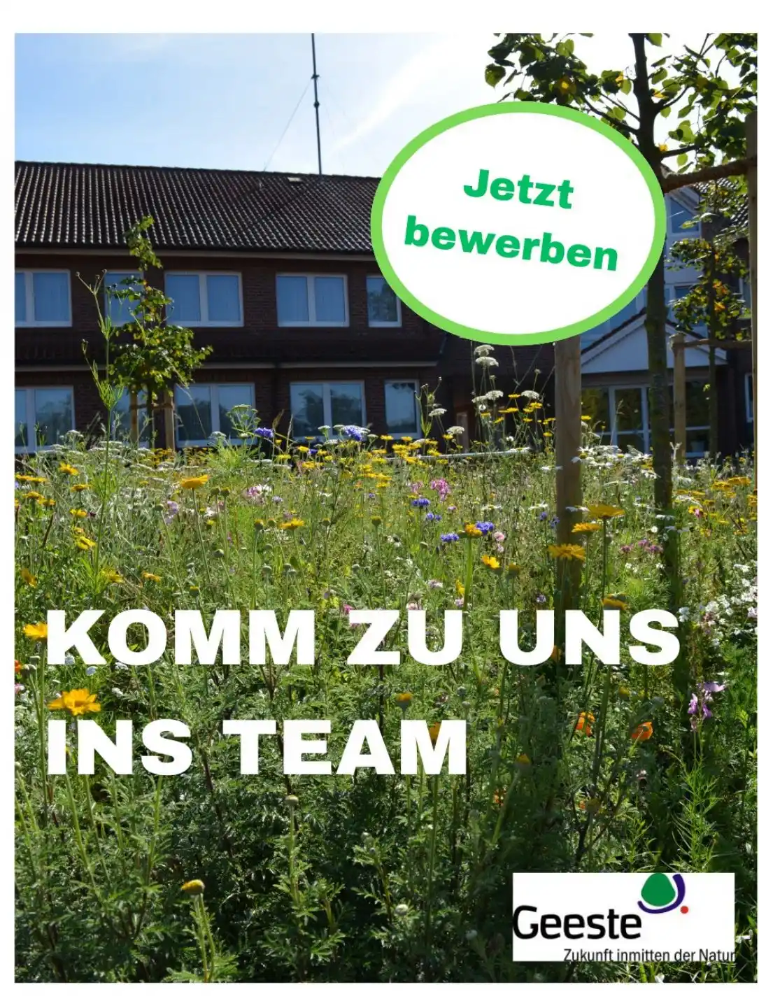 Image from Gemeinde Geeste: *Klimaschutzmanager (m/w/d) gesucht* 🔎 🤗 Komm zu uns ins Team 🤗 D...