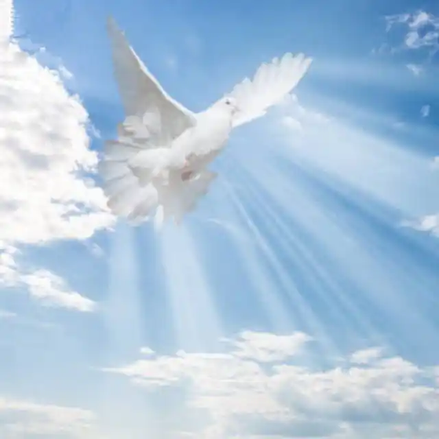 Image from Money cannot buy ~ Holy Spirit: "Lalpan ro a rêl a, mi tin an khûr, Cherub chungah ṭhuin ro a rêl a, L...