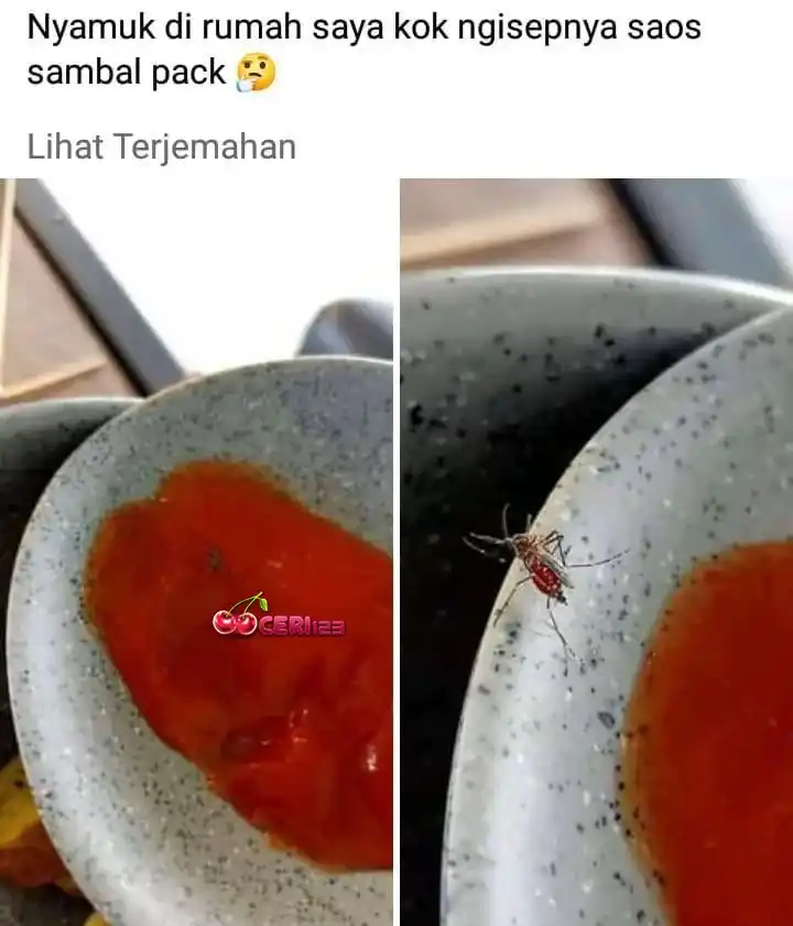 Image from bahan` story: Nyamuk nya demam kah ? kok isep saos ga ada rasa nya :v...