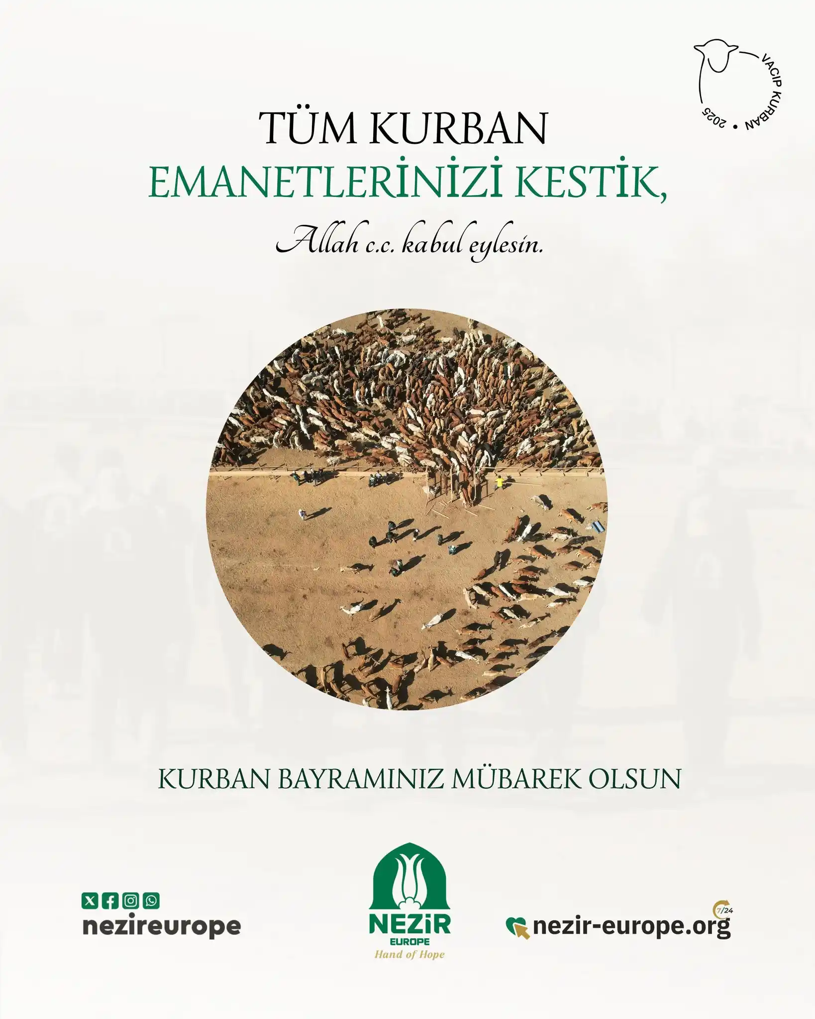 Image from Nezir Europe: Tüm kurban emanetlerinizi kestik. Her biri, ihtiyaç sahiplerinin sofra...
