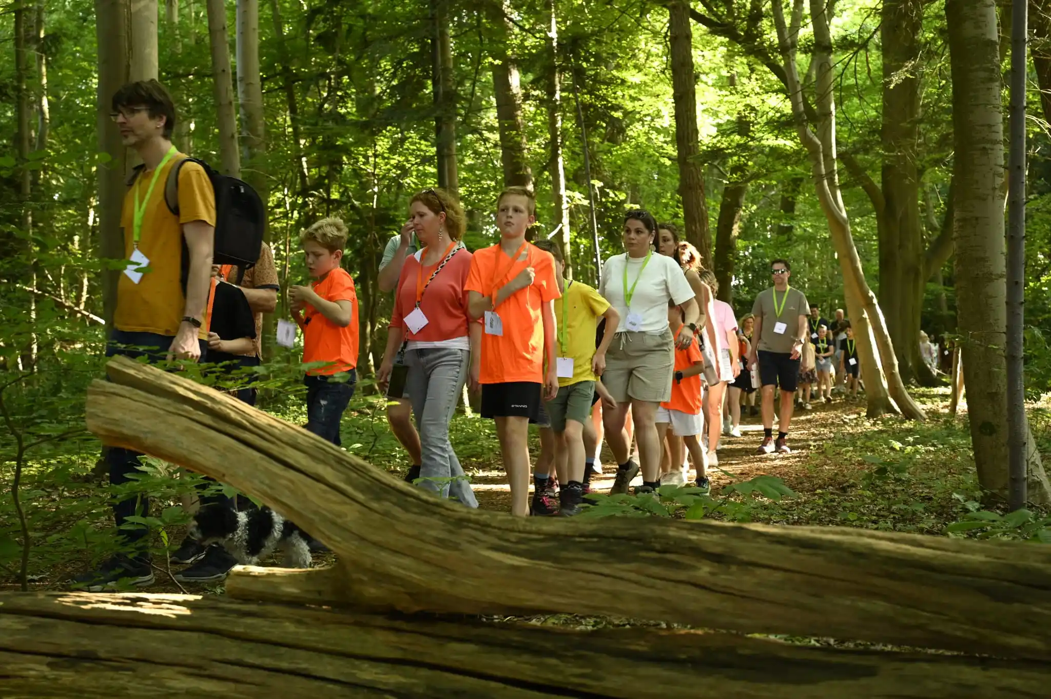 Image from Wandel4Daagse Oldenzaal: We zijn alweer aangekomen bij de slotdag van de 62e Wandel4Daagse Olde...