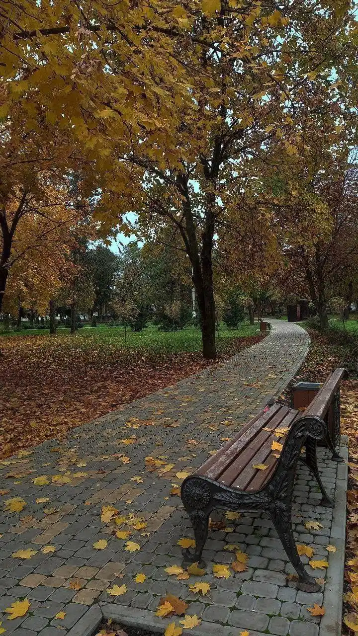 Image from Kelimelerin Dansı: Bana Bir Şarkı Söyle Özledim sesini ne olur konuş Bir gül açtır zam...