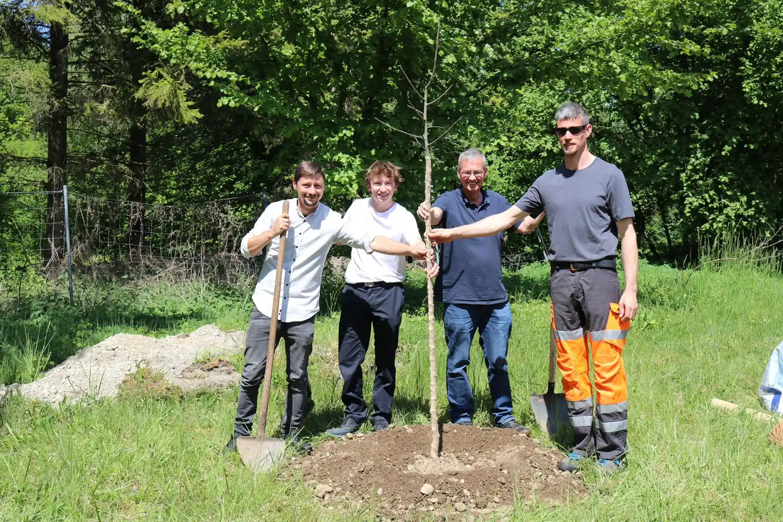 Image from Mein Karlsfeld / vhs Karlsfeld: 🌳 Dein eigener Obstbaum in Karlsfeld! 🌳 Du hast einen Garten oder ei...