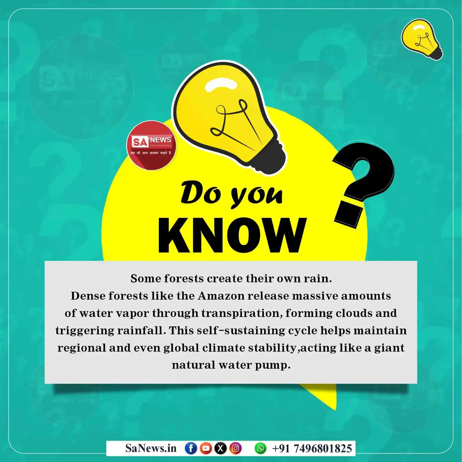 Image from SA News Channel: Do You Know? Some forests create their own rain. Dense forests like t...
