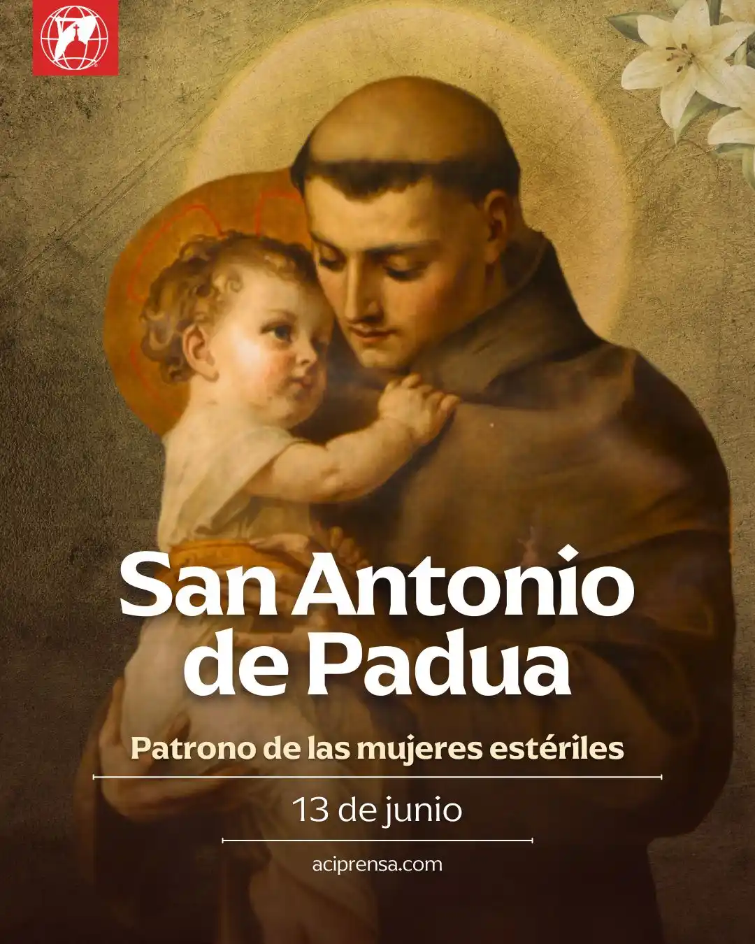 Image from ACI Prensa Noticias Católicas: El *Papa León XIV canonizará* el 7 de septiembre de 2025 *a Carlo Acut...