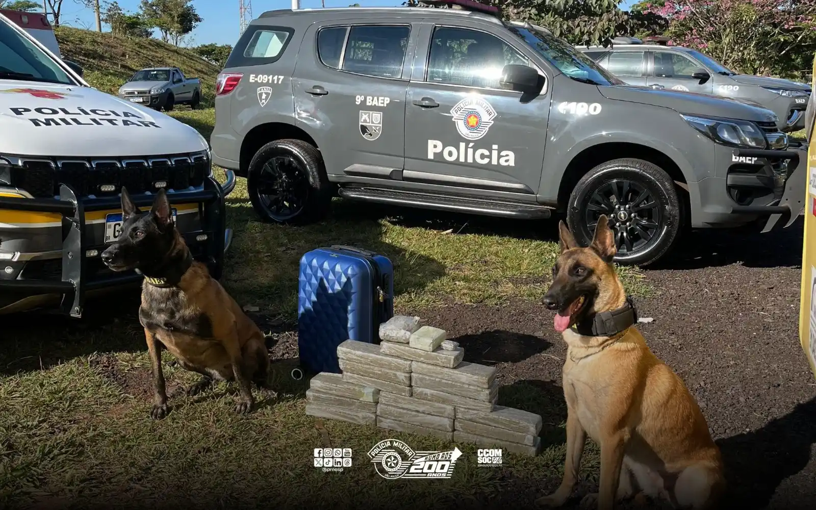 Image from Polícia Militar do Estado de São Paulo: 🚨*Em andamento:* PM localiza mala com tijolos de maconha durante abor...