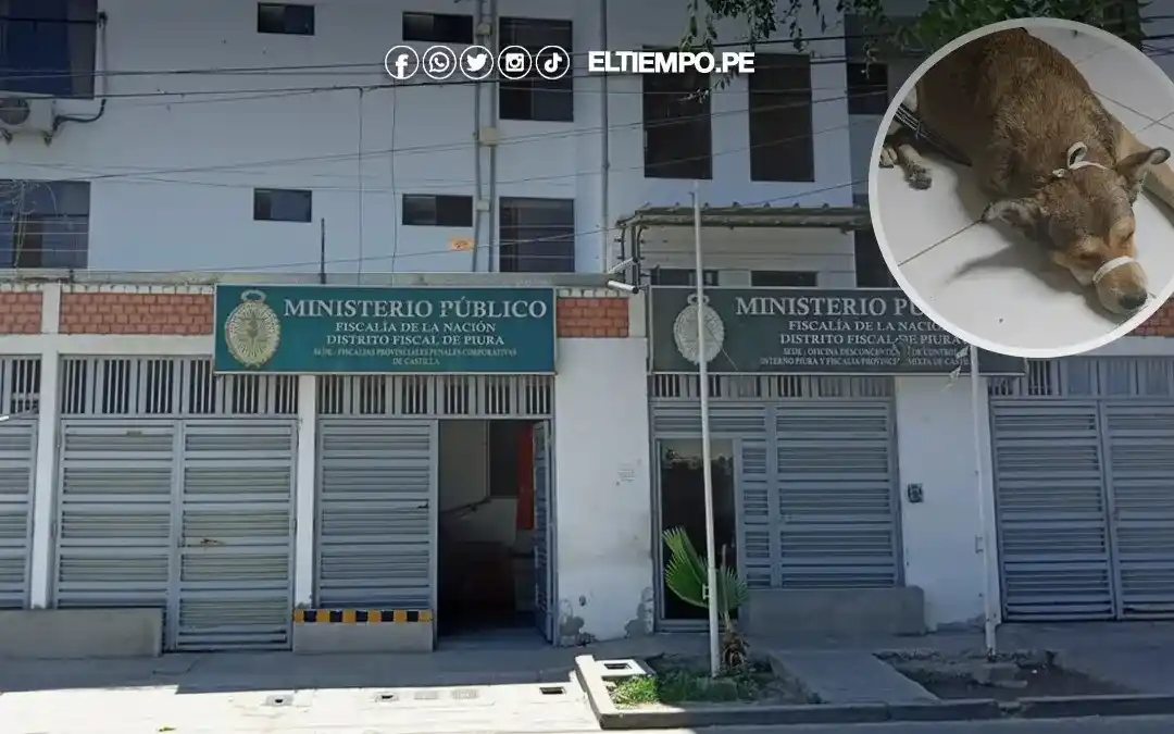 Image from Diario El Tiempo: 🚨 *Fiscalía investiga presunto sacrificio de perros sanos en la UNP p...
