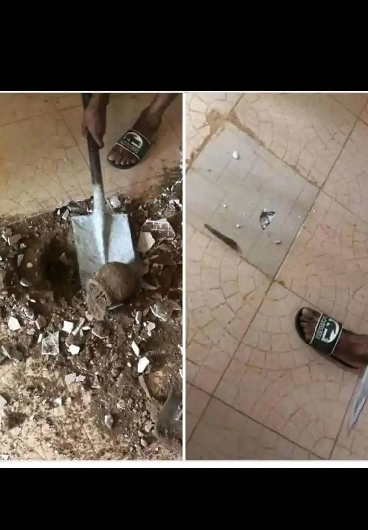 Image from Zim Elites Official 🇿🇼: https://whatsapp.com/channel/0029VaHThvuATRShrLntno1U *Hari yaonekwa ...