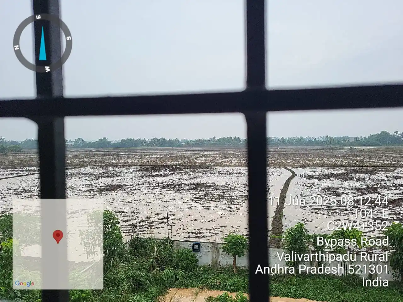 Image from Agri University - The Original: Krishna District - Good Start for TPR & DSR Paddy...
