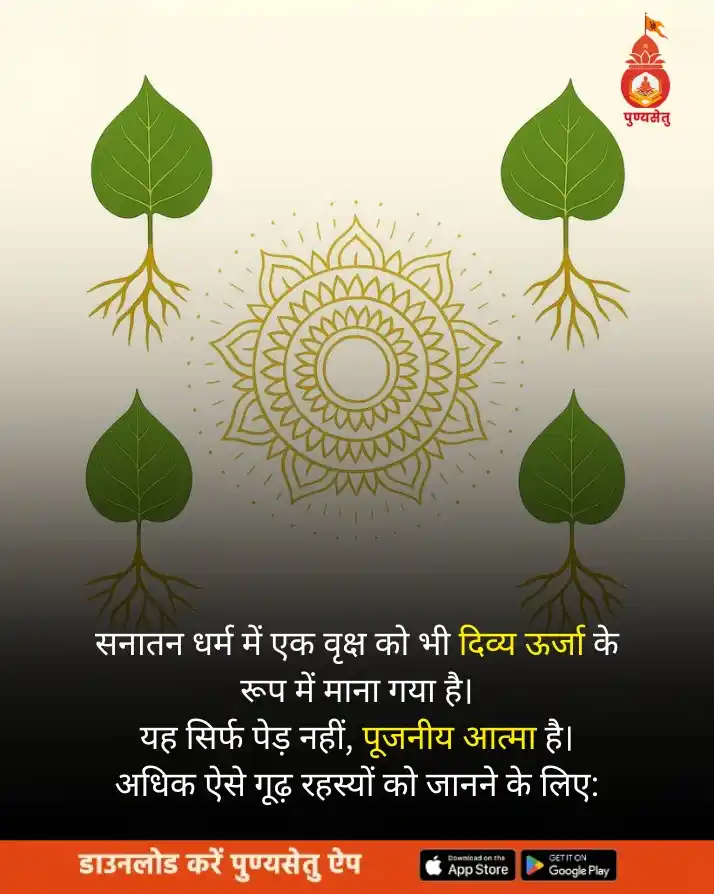 Image from PunyaSetu: 🌳 पीपल: एक वृक्ष नहीं, दिव्य ऊर्जा, शाश्वत ज्ञान और जीवनदायी शक्ति का...